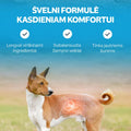 Nature's Protection Superior Care sausā diētiskā barība ar kukaiņiem pieaugušiem visu šķirņu suņiem ar noslieci uz barības alerģijām
