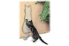 Trixie Kasīšanas dēlis 